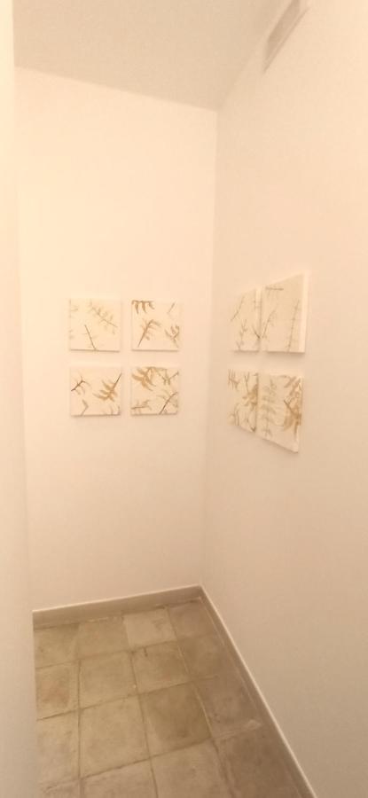 바리 Casa Nella Pietra Viva 아파트 외부 사진
